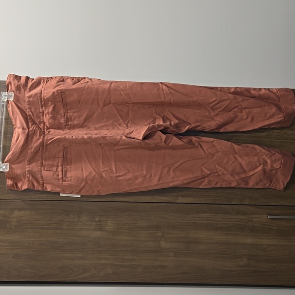 Anthropologie-Cartonniere NWT Belt Front Pants Rose 100% Lyocell-Size 14 - Picture 13 of 16